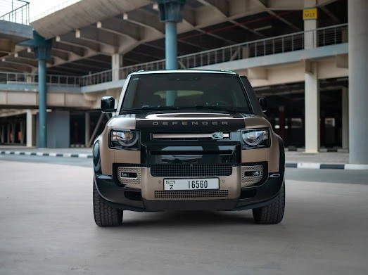  Brown Range Rover Defender V6 X Photo 
