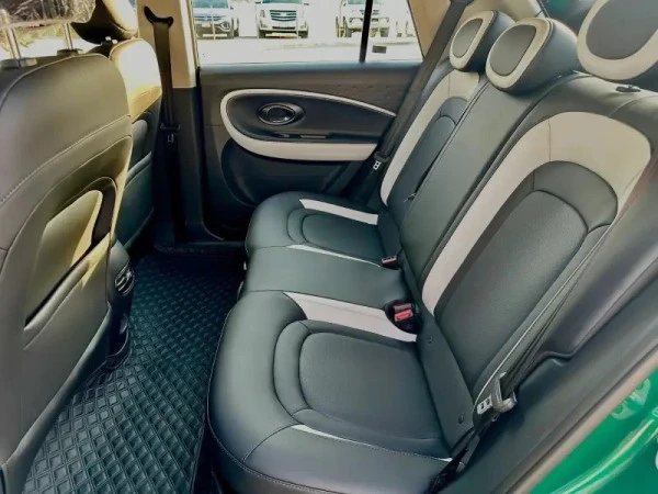  Green JAC E30X Photo 