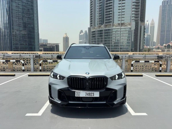  Grey BMW X5 Photo 