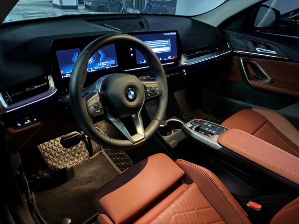  Grey BMW X2 Photo 