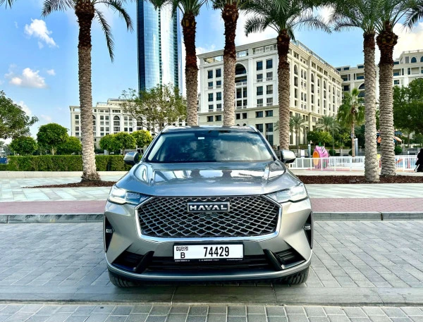  Grey Haval H6 Photo 