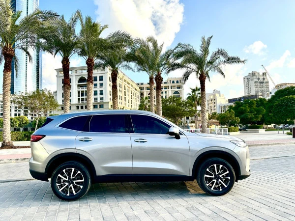  Grey Haval H6 Photo 