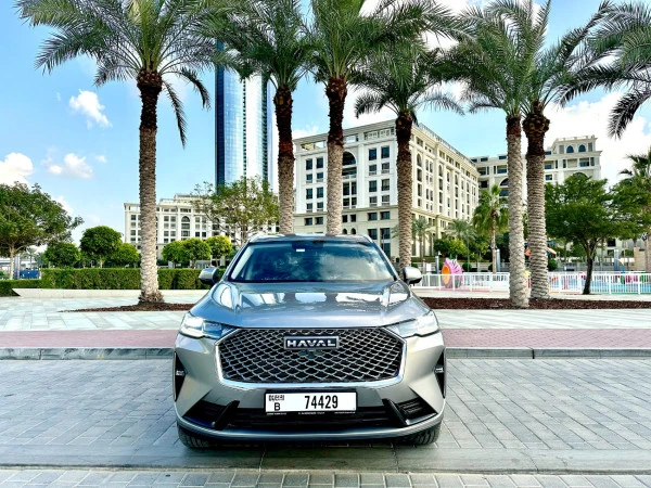  Grey Haval H6 Photo 