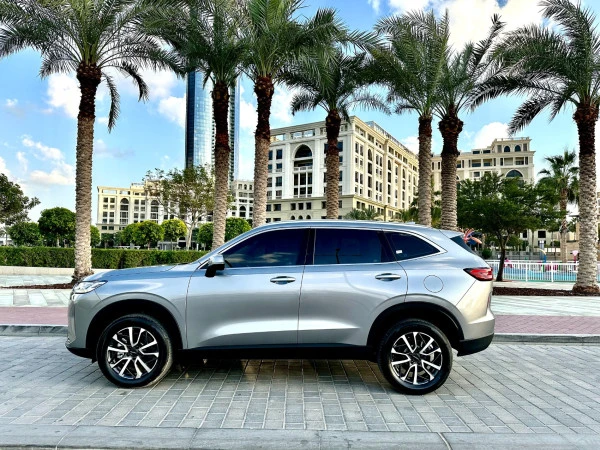  Grey Haval H6 Photo 
