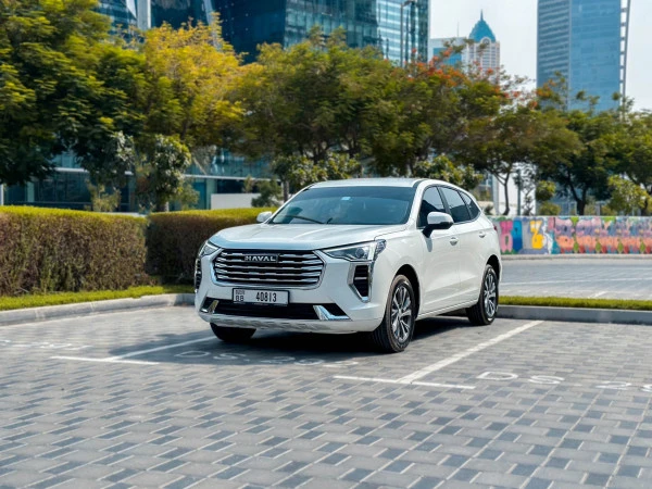  White Haval Jolion Photo 