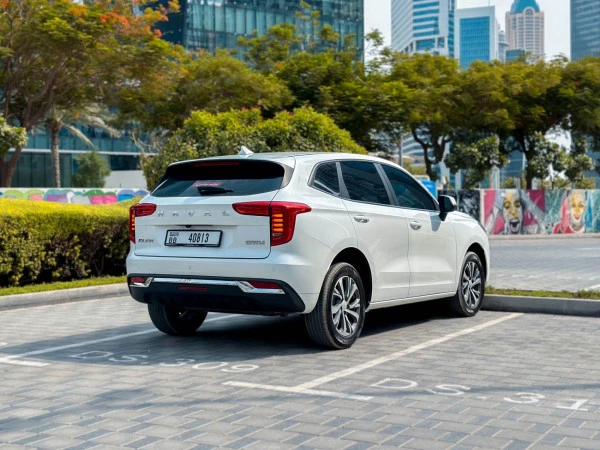  White Haval Jolion Photo 