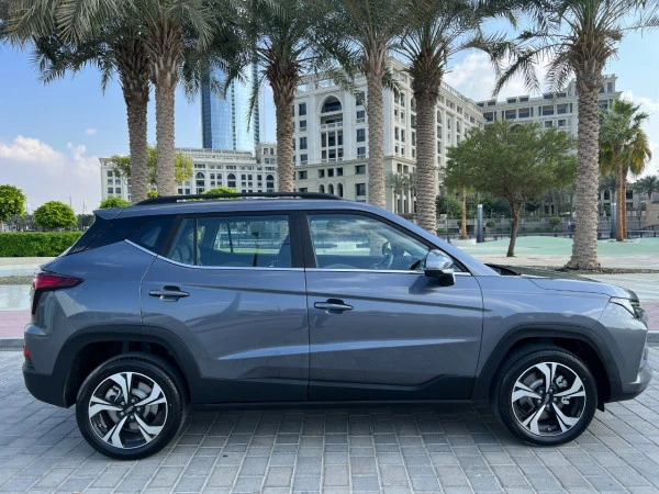  Grey Jac S4 Photo 