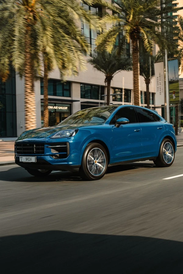  Grey Porsche Cayenne Photo 