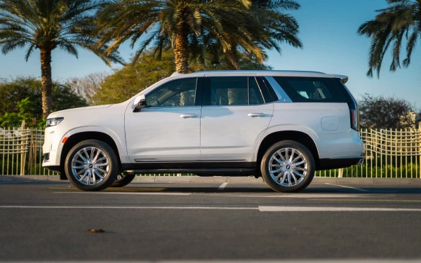 White Cadillac Escalade Photo 