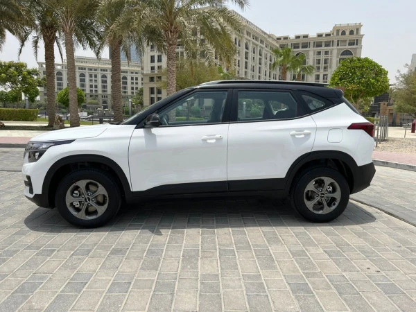  White KIA Seltos Photo 