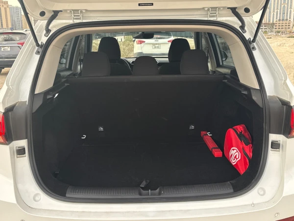  White MG ZS PLUS Photo 