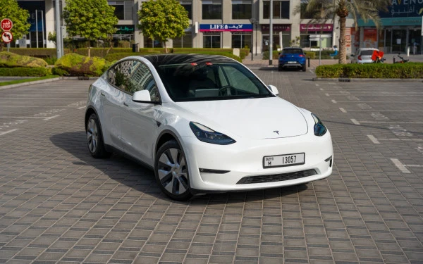  White Tesla Model Y Long Range Photo 